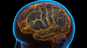 Ilmuwan Temukan Cara Mematikan Rasa Takut dari Pusat Otak