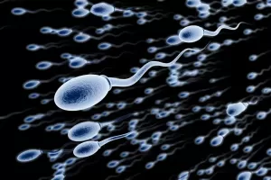 9 Kebiasaan yang Membuat Kualitas Sperma Menurun hingga Menyebabkan Kemandulan