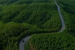 Viral! Jalan Raya di Kalimantan Timur bak di Film Twilight, Diimpit Hamparan Hutan