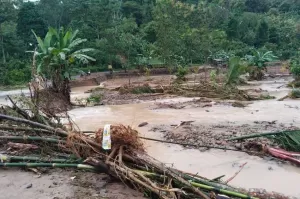 Banjir Terjang Kabupaten Tanggamus Lampung, Satu Orang Dilaporkan Hilang