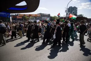 Demonstran Pro-Palestina Terobos Masuk Museum Brooklyn
