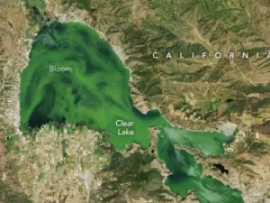Air Danau Berusia 500.000 Tahun Berubah Warna Menjadi Hijau