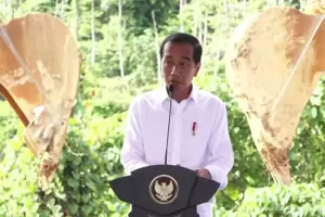 Pastikan Persiapan Upacara HUT RI di IKN, Jokowi: Enggak Ada Masalah di Lapangan