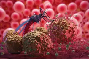 IKN Disebut Sarang Malaria, Kenali Gejalanya agar Tak Berujung Fatal