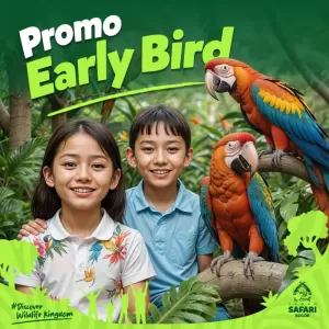 Promo Tiket Early Bird Sudah Bisa Dipesan, Masuk Taman Safari Bogor Hanya Rp220 Ribu!