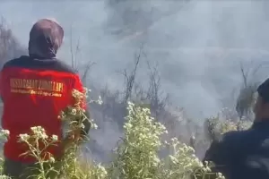 Petugas Gabungan Berjibaku Padamkan Kebakaran Gunung Bromo di Kemiringan 60 Derajat