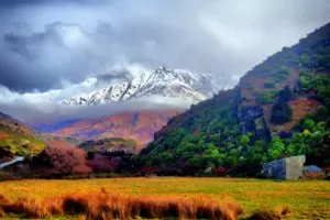 Angela Tanoesoedibjo: Film The Lord of The Rings Sukses Majukan Pariwisata Selandia Baru