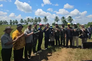 Penyuluh Pertanian Kawal Gerakan Pompanisasi dan Percepatan Tanam di Barito Kuala