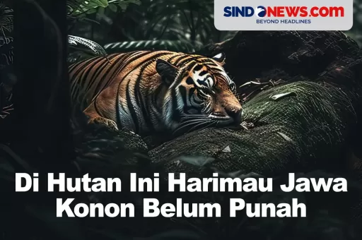 Di Hutan Angker Ini Harimau Jawa Konon Belum Punah
