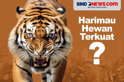 Apakah Ada Binatang yang Bisa Mengalahkan Harimau?